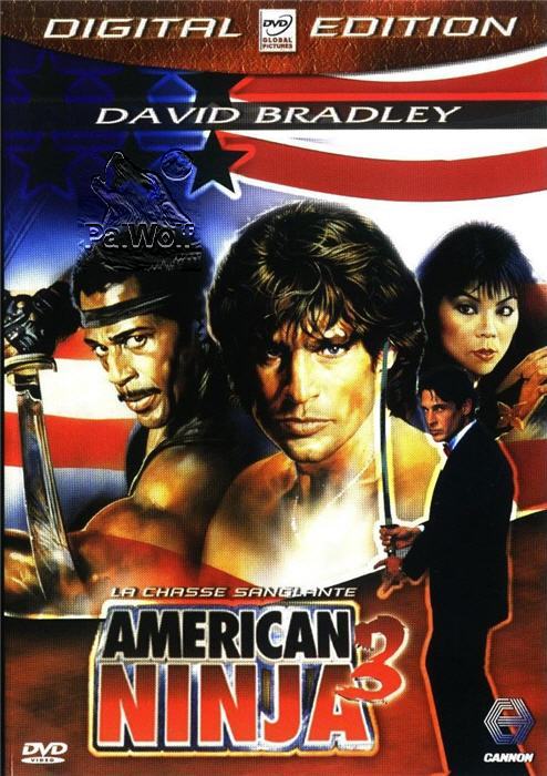 American Ninja 3