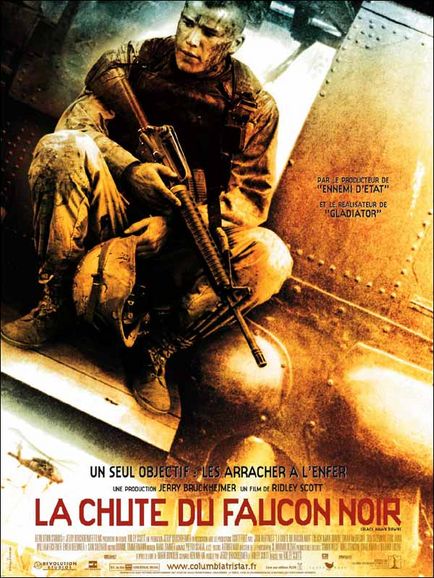 LA CHUTE DU FAUCON NOIR