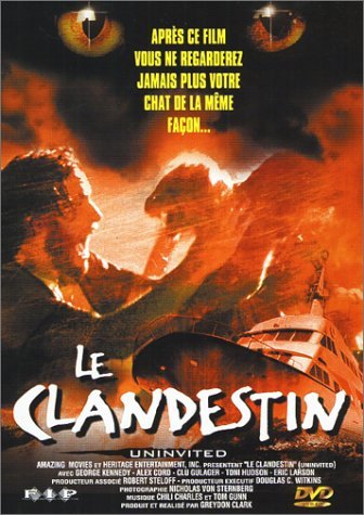 CLANDESTIN, LE