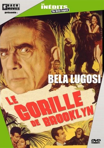 Gorille de Brooklyn, Le