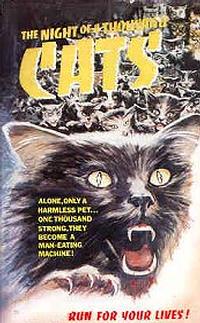 Nuit des mille chats, La