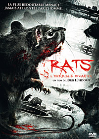 Rats : l'invasion commence