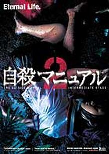 Suicide Manual 2: Intermediate Stage, The