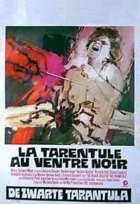 Tarentule au ventre noir, La