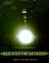 Terminal descent