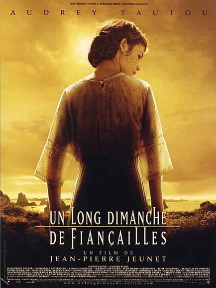 UN LONG DIMANCHE DE FIAN�AILLES