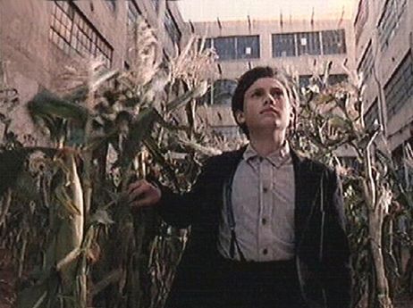 Les Démons du maïs 3 Les Moissons de la Terreur La critique sur