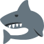 Requin