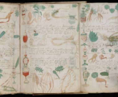 Le Dossier du Manuscrit de Voynich