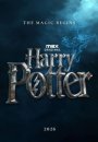 Harry Potter à l'école des sorciers