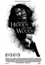 Hidden in the Woods