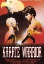 Karate Warrior
