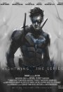 Nightwing: The Series Nightwing: The Series