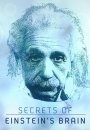 Secrets of Einstein' Brain