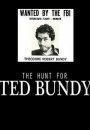 The Hunt for Ted Bundy