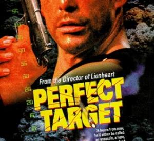 Perfect Target Perfect Target