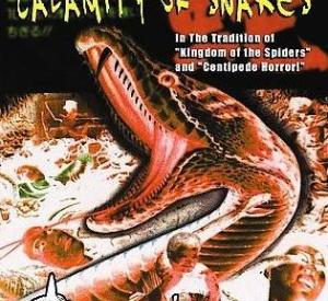 Calamity of snakes