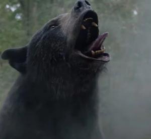 Cocaine Bear Cocaine Bear
