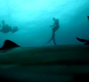 DarktideP3 Dark Tide