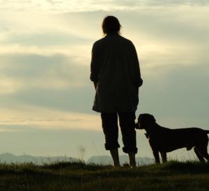 Le Mur Invisible Le Mur Invisible