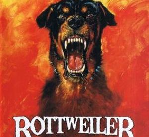 Rottweiler - Les chiens de l'enfer