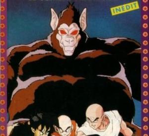 Dragon ball Z : le combat fratricide
