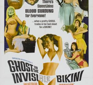 The Ghost in the Invisible Bikini