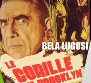 Le Gorille de Brooklyn