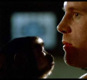 Incidents de Parcours Incidents de Parcours