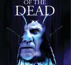 Island of the dead