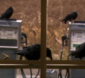 kaw2006P2 Le Vol Noir