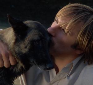 Les Chiens Les Chiens