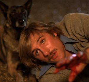 Les Chiens Les Chiens