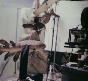 Les Larmes de l'Ichtyostéga