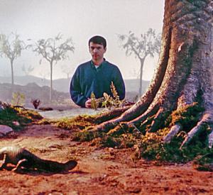 Les Larmes de l'Ichtyostéga