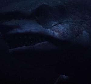 Megalodon