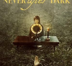 Never After Dark