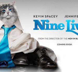 Ma Vie de Chat Ma Vie de Chat