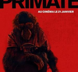 Primate