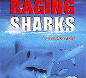 Raging Sharks