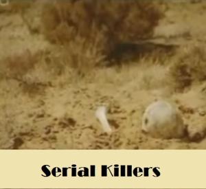 Serial Killers