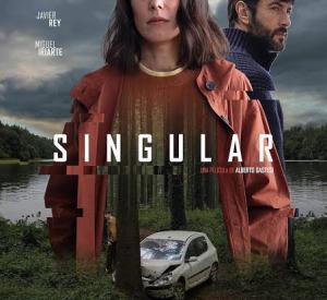 Singular Singular