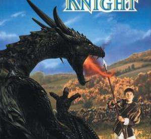 Teen Knight