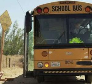 The Bunnyman Massacre The Bunnyman Massacre