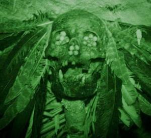 The Jungle The Jungle