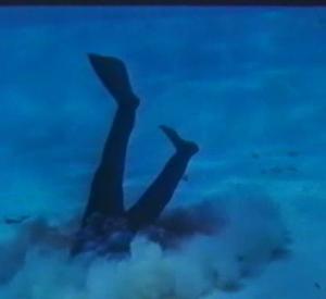 TintoreraP3 Tintorera: Du Sang dans la Mer