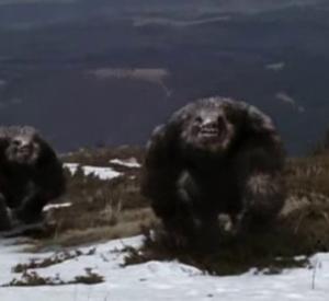 Yétis : Terreur en Montagne