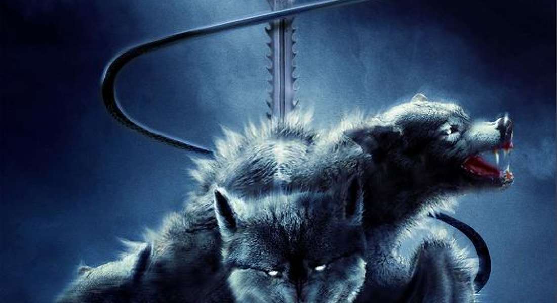 Canidé Tous les films sur