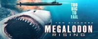 Meg Rising