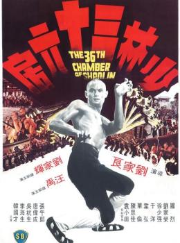 La 36ème chambre de Shaolin